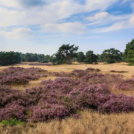 Studio Recreatiepark De Boshoek-7 Voorthuizen